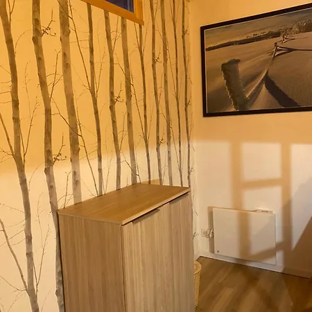 Chalet Fonctionnel Et Chaleureux